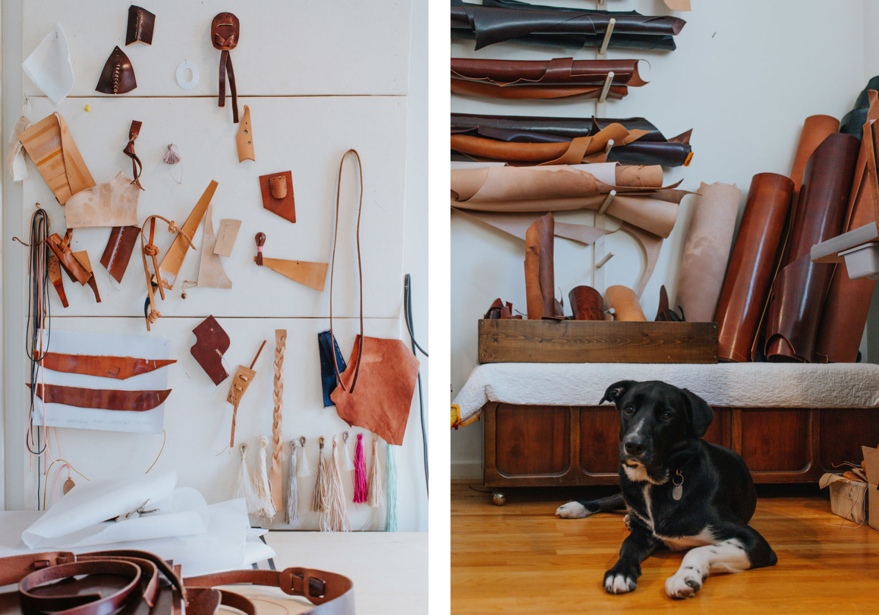 Buffalo-Magazine-Talouha-Workspace-and-Dog-Katie-Addo